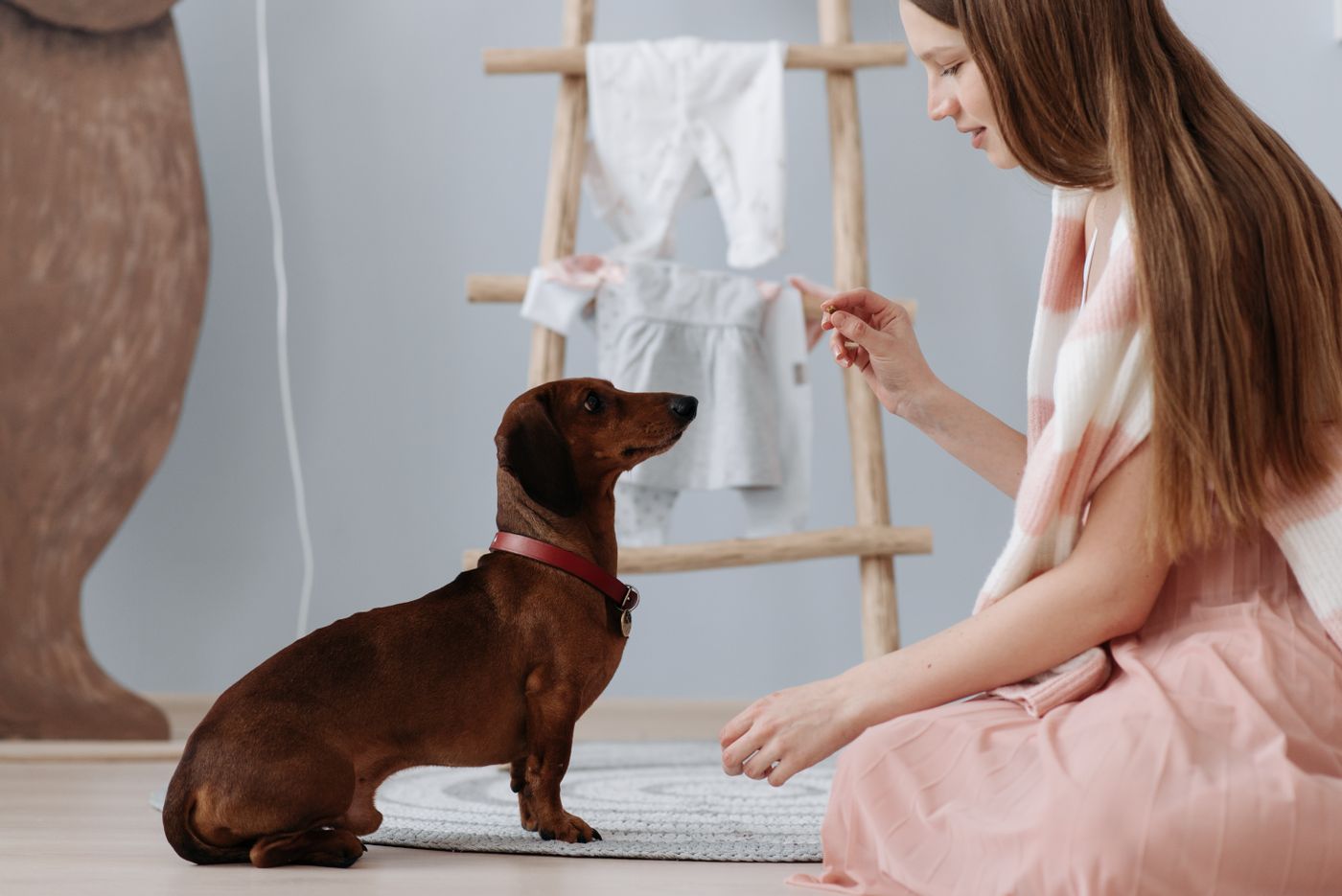 Illustrative photo of a woman reward-training a dog