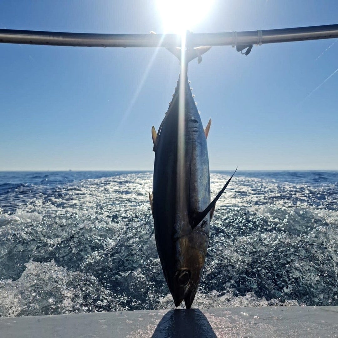 Tuna caught on a Protaras Cruises fishing trip