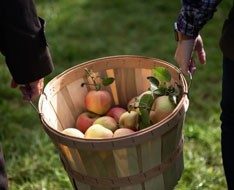 Kyperounta Apple Festival — image from event source