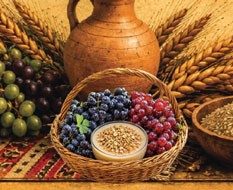 Wine & Gastronomy Festival — image from event source