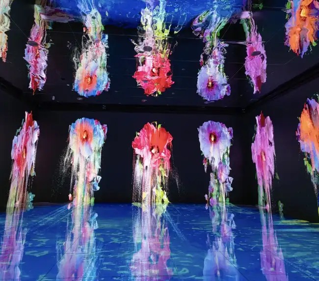 Face of Universe installation, featured in WIP Festival programme