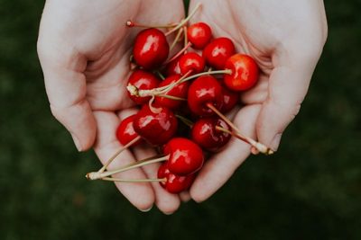 Cherry — illustrative photo for Cherry Festivals — June Dates Awaited