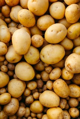 Potato — illustrative photo for Avgorou Potato Festival — July Date Awaited