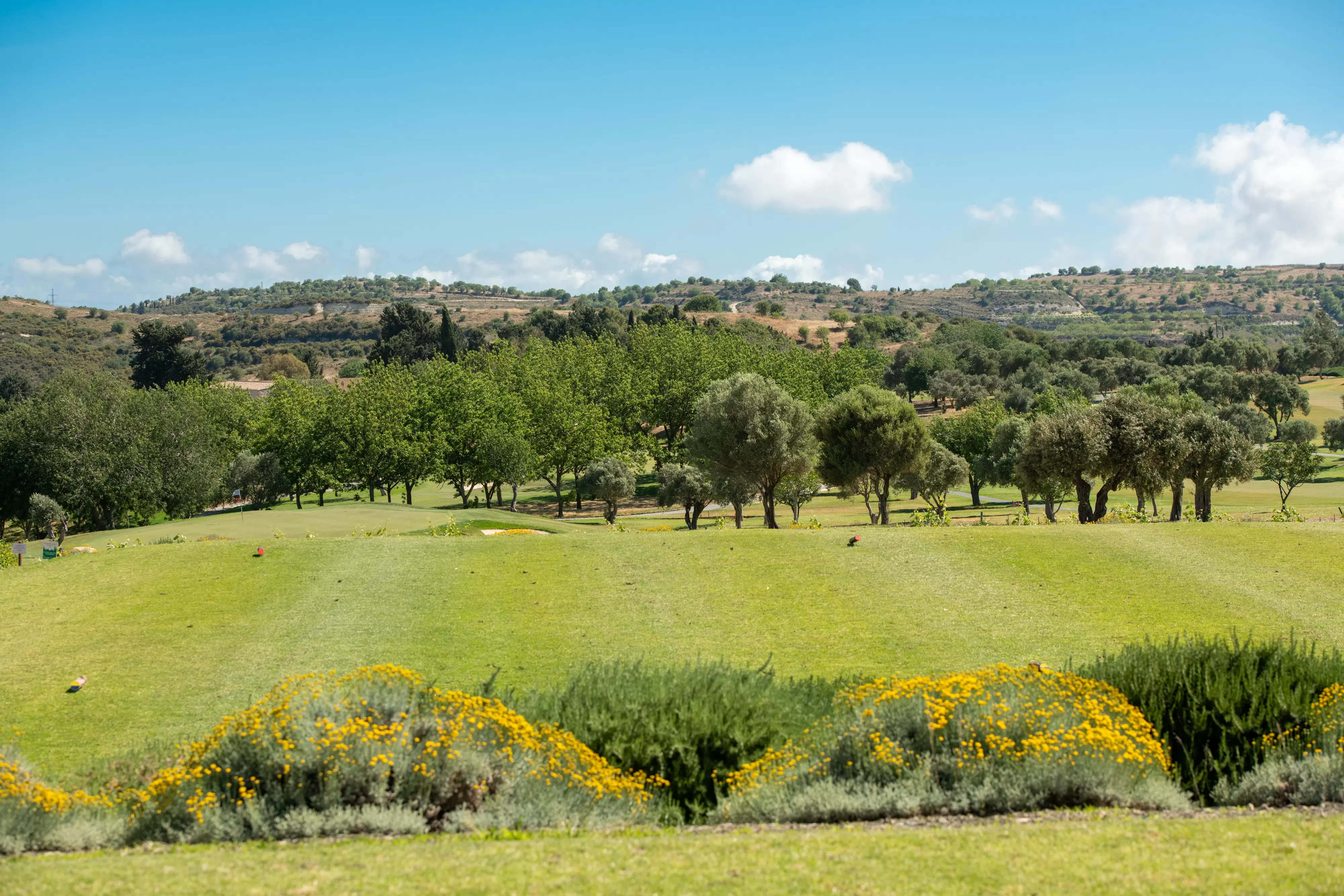 Minthis Golf Club